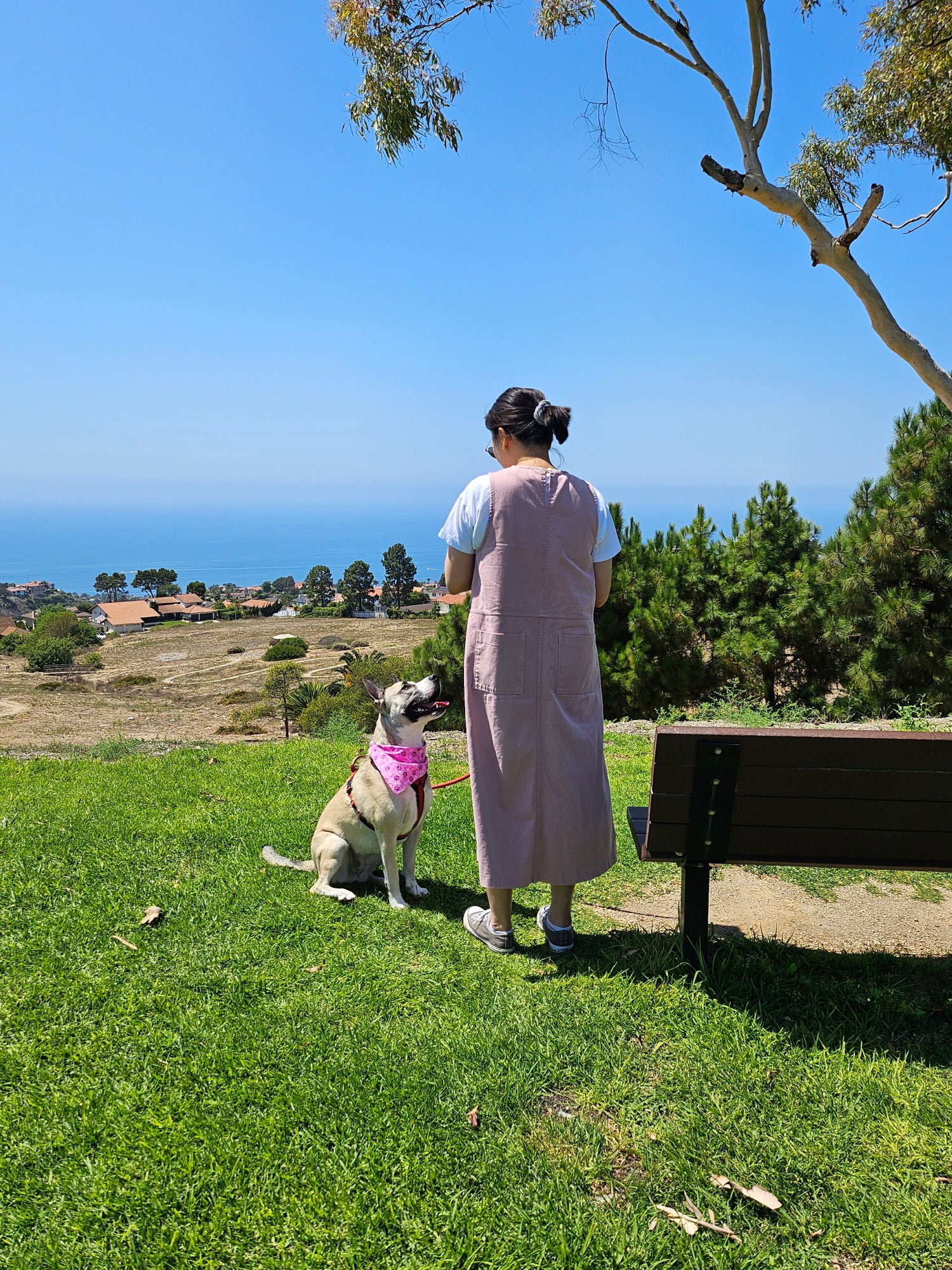 a woman and her dog in a scenic outdoor view